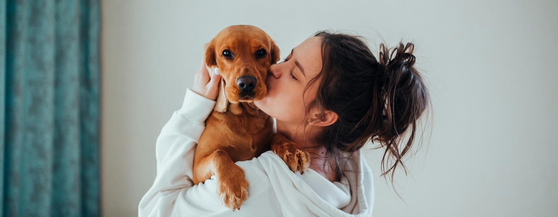 a person kissing a dog
